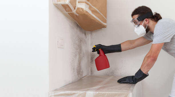 Professional Mold Testing technician working in Cherry Hill, VA
