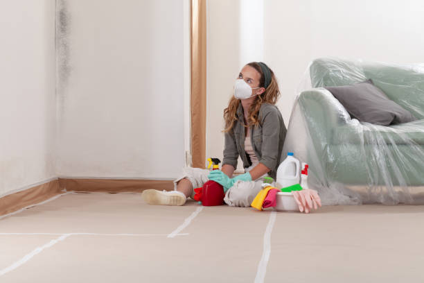 Reliable Mold Testing contractor in Cherry Hill, VA by WQB Mold Removal