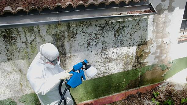 Top rated local Mold Testing specialists in Cherry Hill, VA